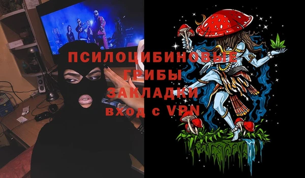 ГАЛЛЮЦИНОГЕННЫЕ ГРИБЫ Алексеевка