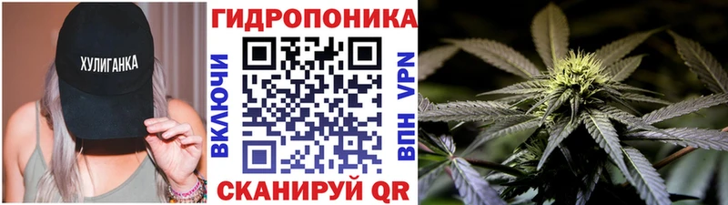 Бошки марихуана планчик  продажа наркотиков  KRAKEN ТОР  Обоянь 